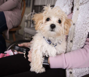 Meet your Posher, Hailey